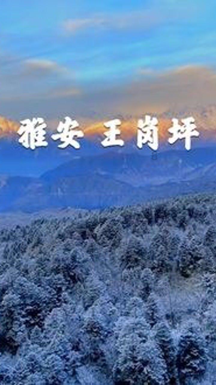 激萌三国志